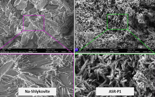 SEM images of synthesized ASR products, Na-shlykovite and ASR-P1