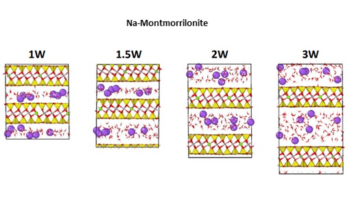 Na-montmorillonite at 1W, 1.5W, 2W and 3W hydration states