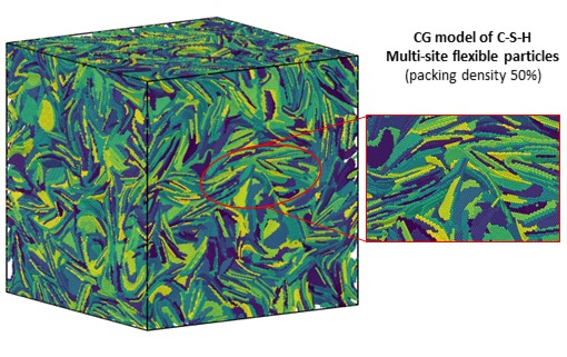 Coarse-grained model of the C-S-H gel with multi-site flexible particles