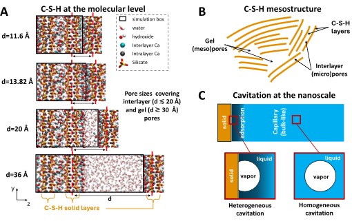 Molecular models of C-S-H pores from interlayer to gel pore sizes, C-S-H mesostructure and nanoscale cavitation