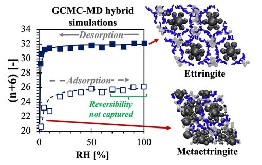 Water content of ettringite and metaettringite versus relative humidity from GCMC-MD simulations, showing sorption hysteresis